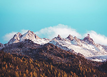 九游体育app官方下载-佩雷拉：仅获第四是我的责任 中国需更高水平裁判