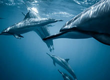 九游体育下载app-傅亚雨：变局元年 中超更需系统性公平